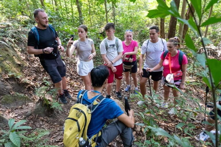 Phu Quoc: Tien Son Dinh 6-Hour Jungle Trekking Adventure - The Route: What to Expect