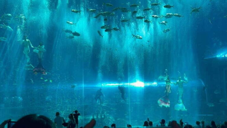 Phu Quoc VinWonders Theme Park And Safari Wildlife Tour - A Closer Look at the Experience