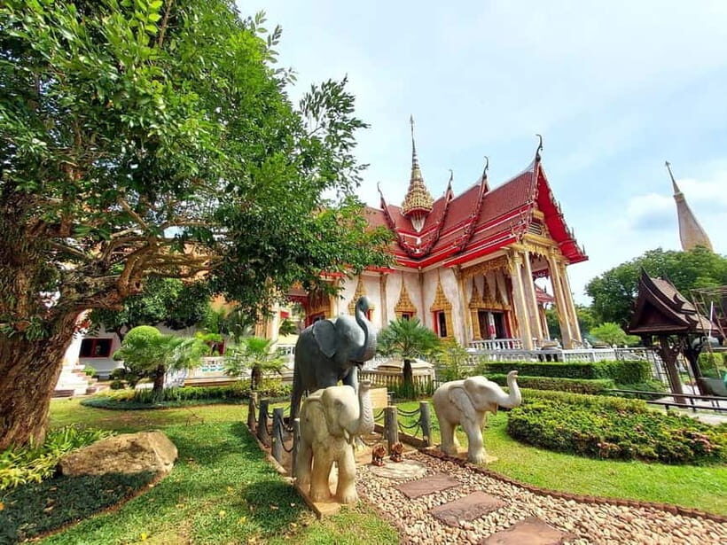 Phuket City Tour with Night Market Visit & Elephant Feeding - Who Will Love This Tour?