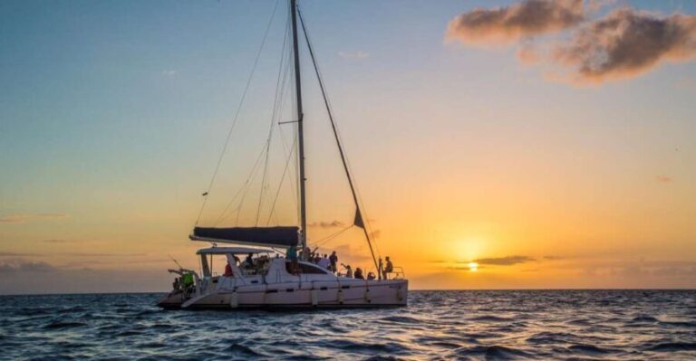 Phuket: Coral Island & Sunset Dinner by Sailing Catamaran - Coral Island: A Tropical Escape