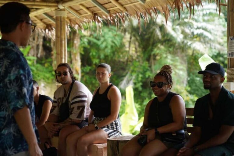 Phuket : Guided Tour to Elephant Sanctuary with Transfers - Why This Tour Offers Great Value