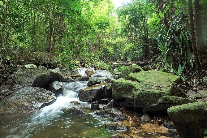 Phuket Jungle Trekking Experience at Khao Phra Taew National Park - Waterfalls, Wildlife, and Natural Photo Opportunities