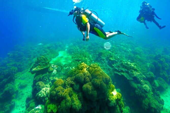 Phuket Scuba Diving: Racha Island Or Maiton Island For All Levels - Practical Tips for Travelers
