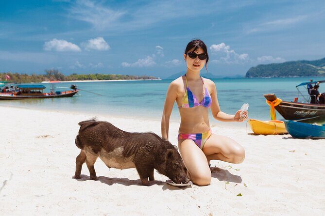 Pig Island Private Longtail Boat Trip From Koh Samui - The Real Value