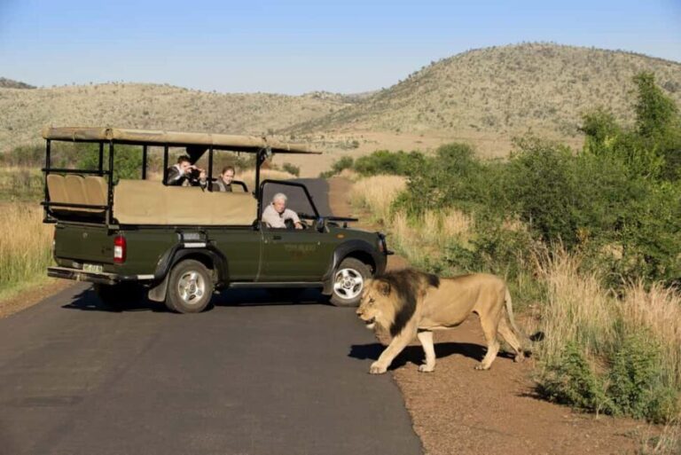 Pilanesberg Big 5 Game Safari: TRANSFER & ENTRANCE INCLUDED - Analyzing the Value