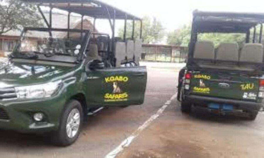 Pilanesberg : Game Drive with Lunch - Manyane Gate - Why Choose This Tour?