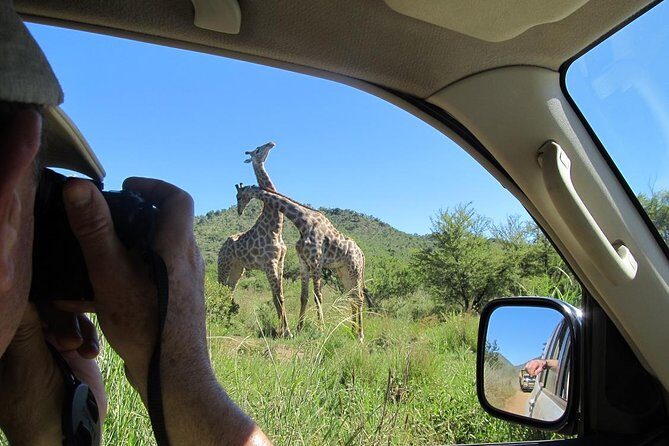 Pilanesberg Game Reserve 6 Hour Sunrise Safari from Johannesburg or Pretoria - The Sum Up