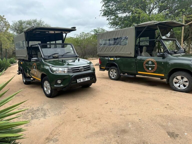Pilanesberg Morning or Afternoon 3 Hour Game Drive - Who Should Book This Tour?
