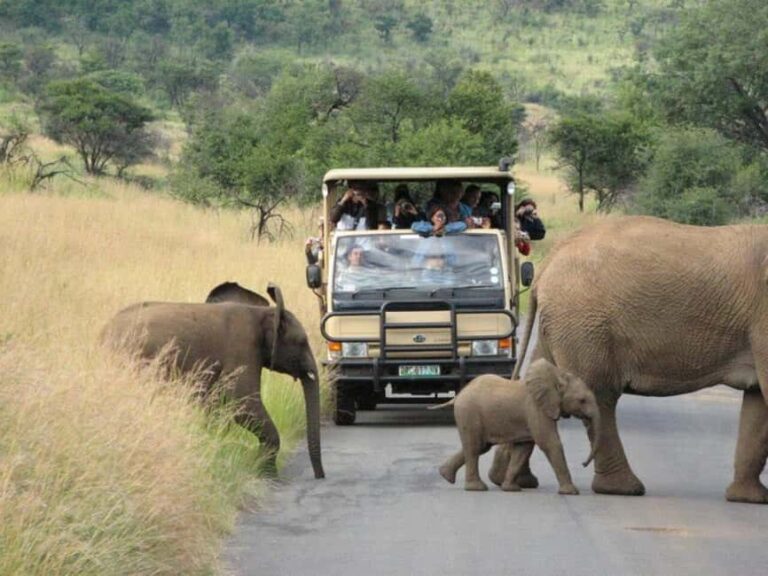 Pilanesberg National Park: 6H Game Drive with Lunch - The Wildlife and Landscape