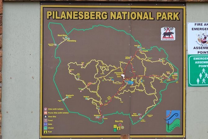 Pilanesberg National Park Day Tour from Pretoria, every SATURDAY - Is It Worth the Price?