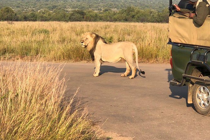 Pilanesberg National Park Full Day Safari From Johannesburg - Authentic Experiences and Challenges