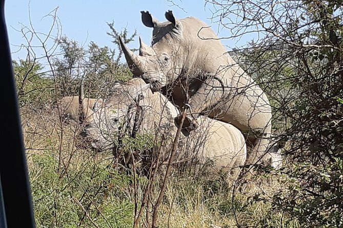 Pilanesberg National Park Full-Day Tour from Johannesburg - Authenticity and Value