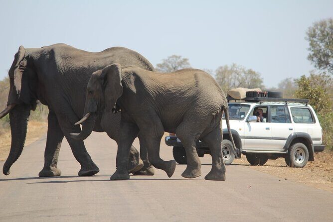Pilanesberg National Park Safari, BIG 5 Full Day - What’s Included and What’s Not