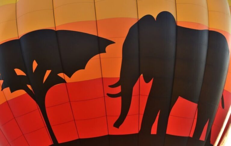Pilanesberg National Park/Sun City Hot Air Balloon Safari - The Experiences Strengths