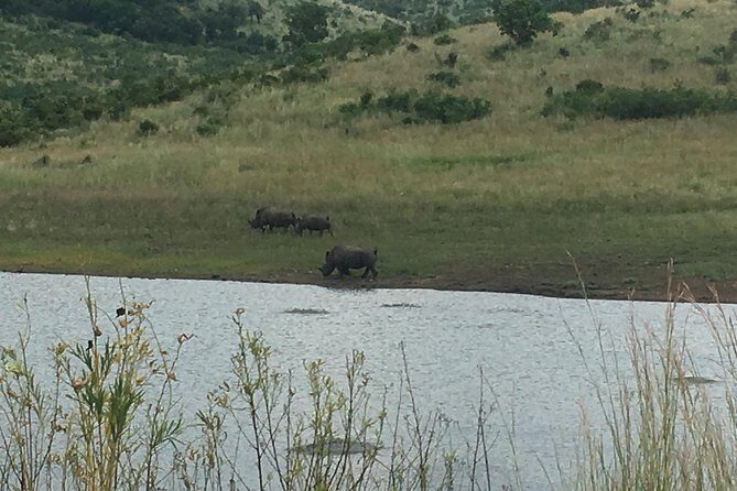 Pilanesberg Safari Day Tour - Who Would Benefit Most from This Tour?