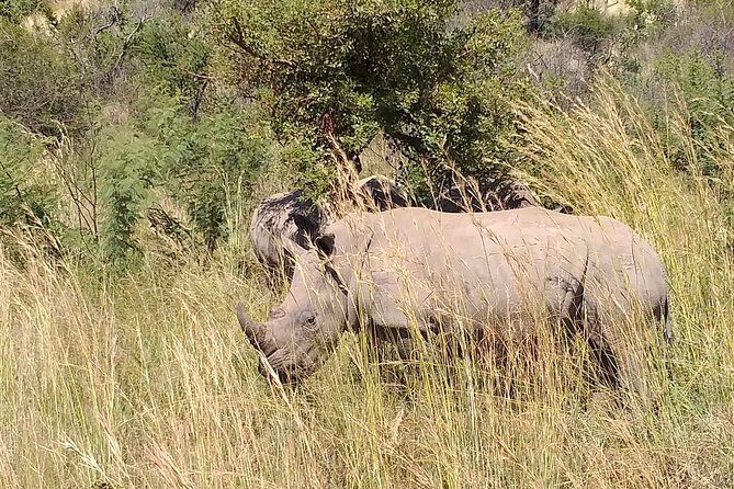 Pilanesberg Safari Fullday - Bird Watching & Geology
