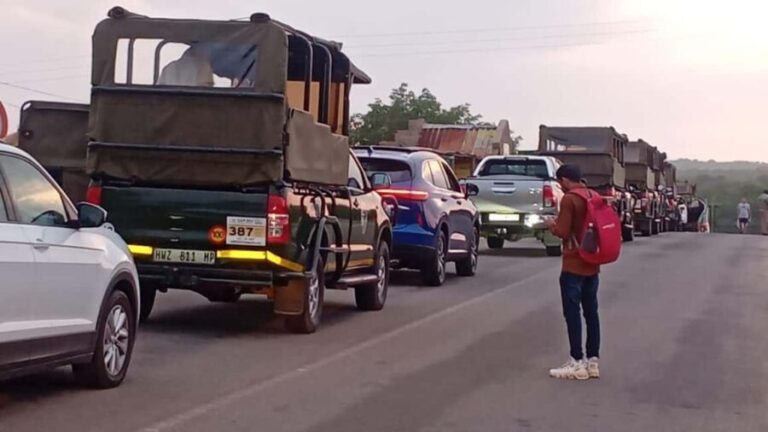 PILANESSBURG FULL DAY SAFARI - Starting the Day: From City to Wilderness
