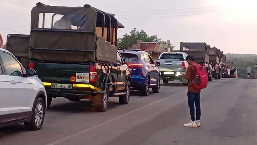 PILANESSBURG FULL DAY SAFARI - Starting the Day: From City to Wilderness