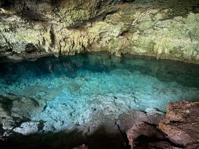 Pingwe: Swim at Kuza Cave and Dine at The Rock Restaurant - Why This Tour Offers Great Value