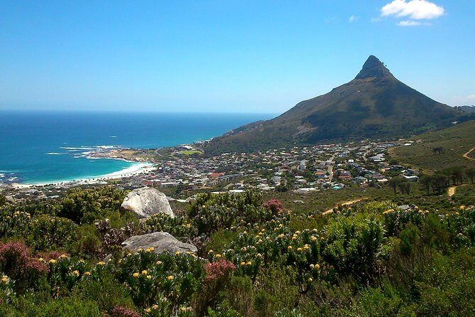 Pipetrack Hike for the whole family on Table Mountain - PRIVATE - The Sum Up: Who Is This Tour Best For?