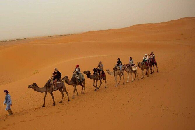 Pleasant Non-Touristic Overnight Camel Safari (From 2:00 PM to Approx. 10:30AM) - What the Reviews Reveal