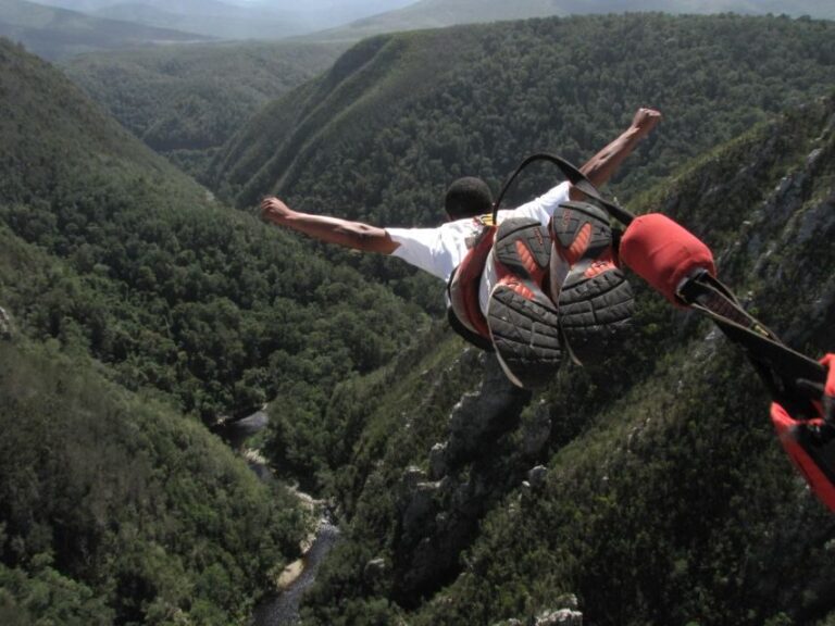 Plettenberg Bay: Bungee Jumping with Zipline and Sky Walk - The SkyWalk and Viewpoints