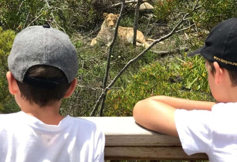 Plettenberg Bay: EcoKidz Family Wildlife Tour - Authentic Perspectives: What Visitors Say