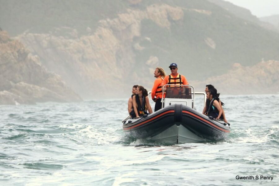 Plettenberg Bay: Seal Colony Viewing Excursion