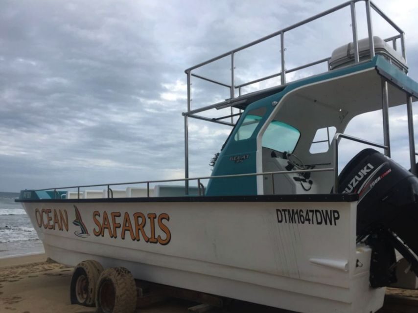 Plettenberg Bay: Whale Watching Boat Cruise