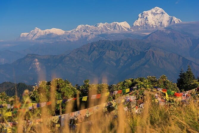 Pokhara 3 Days Ghorepani and Poon Hill Private Trek via Ghandruk - Authenticity and Traveler Feedback
