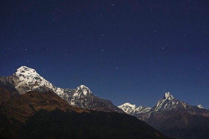 Pokhara: 4 Day Poon Hill Trek - Day 3: Sunrise at Poon Hill, then Trek to Tadapani