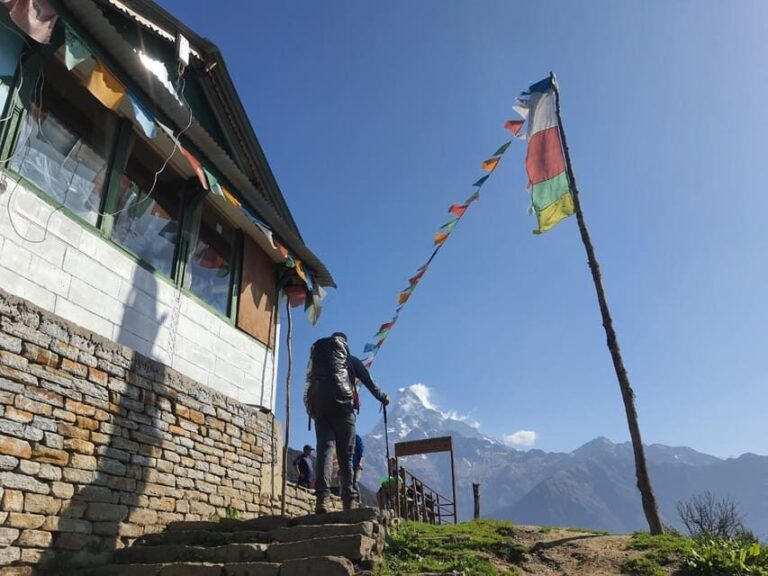 Pokhara: 5-Day Mardi Himal Base Camp Trek with Transfers - Transportation and Comfort