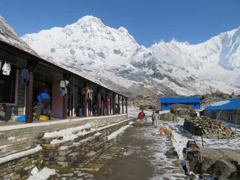 Pokhara: 5-Days Annapurna Base Camp Trek Guided Adventure - What Travelers Can Expect