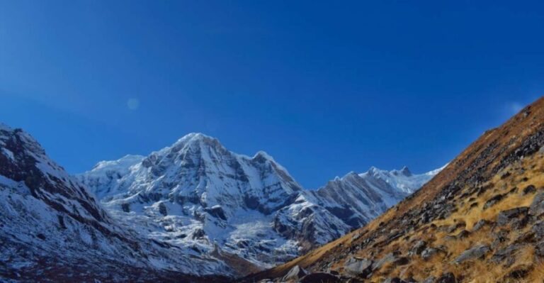 Pokhara: 7 Day Annapurna Base Camp Trek - What This Tour Really Means for You