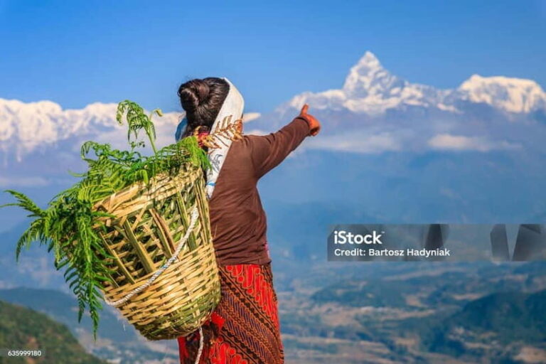 Pokhara: Begnas Lake Hike - Analyzing the Value: What’s Included and What’s Not