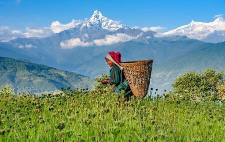 Pokhara : Easy Dhampus & Astam Village Day Hike - Who Is This Tour Best For?
