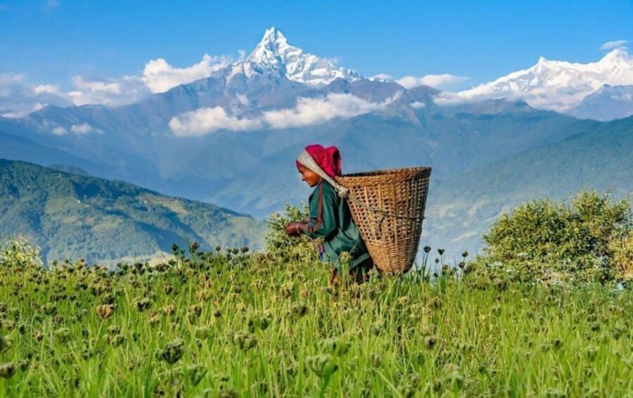 Pokhara : Easy Dhampus & Astam Village Day Hike - Who Is This Tour Best For?