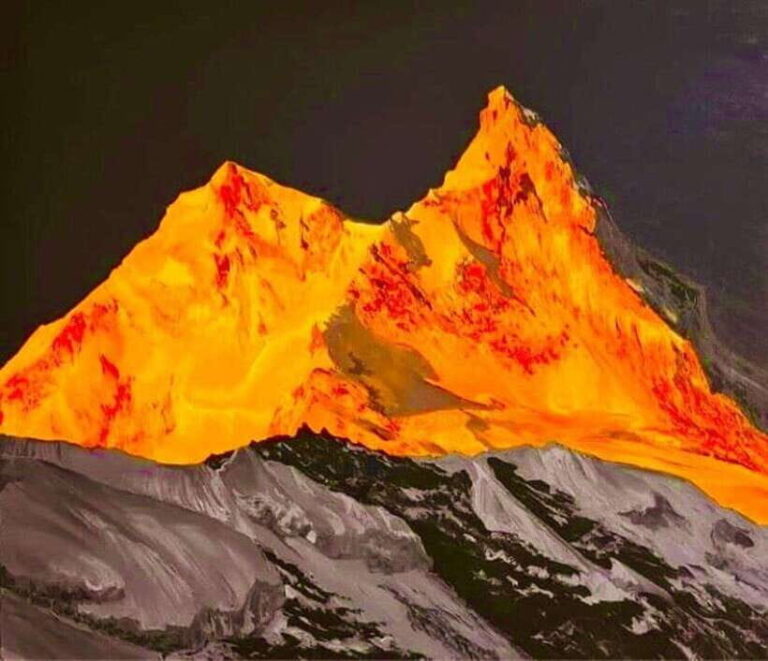 Pokhara: Mardi Himal Trek with 1 Night in a Forest Camp - What’s Included and What’s Not