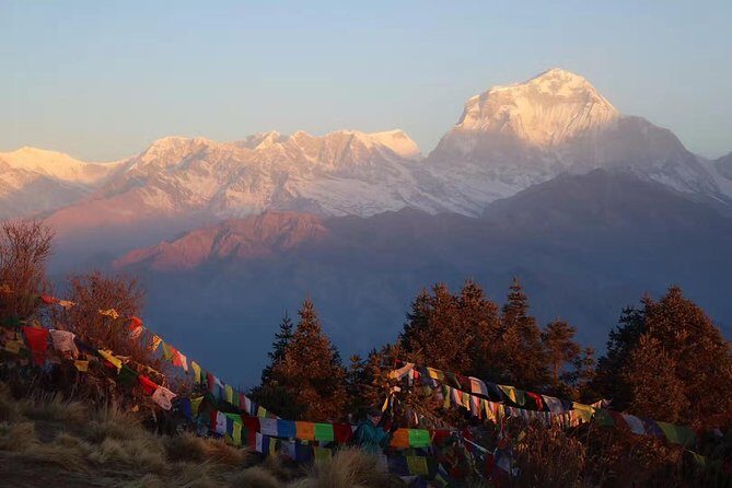 Poon Hill Trek - 04 Days - Why the Guides Make a Difference
