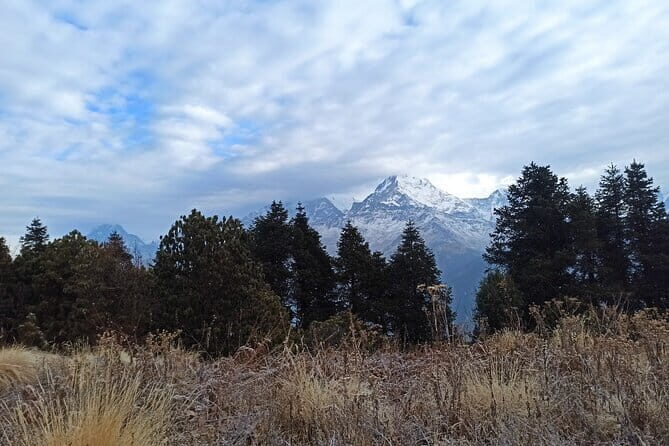 Poon Hill Trek from Pokhara 4 Days - Transportation and Logistics