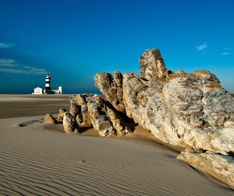 Port Elizabeth: City Tour and Wildlife Safari 4x4 Adventure - Why This Tour Offers Good Value