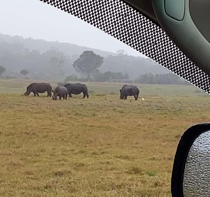 Port Elizabeth: Kragga Kamma Game Park and City Tour - The Itinerary in Detail