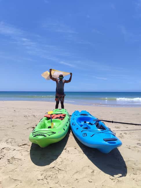 Port Elizabeth: Sea Kayaking Tour along King's Beach - Marine Life and Scenic Highlights