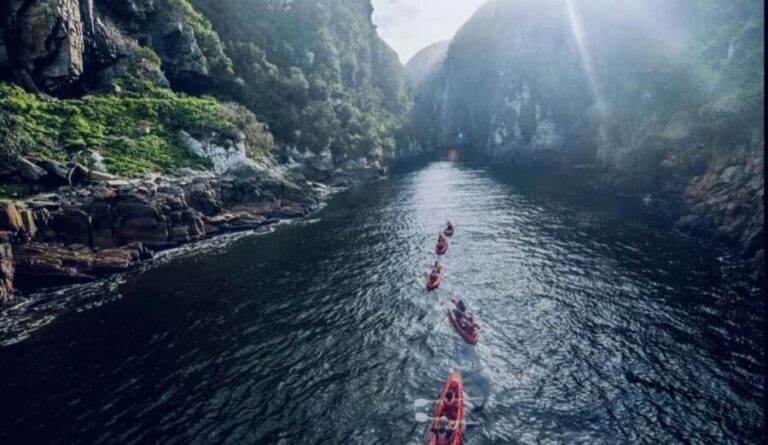Port Elizabeth: Tsitsikama National Park full-day - The Adventure Options: For Thrill-Seekers