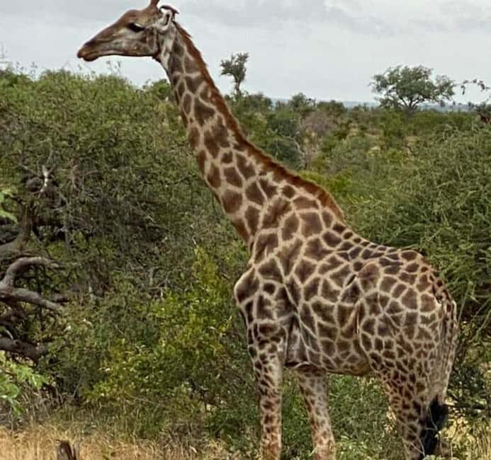 Port Elizabeth:Kragga Kamma Private game reserve safari - How it compares