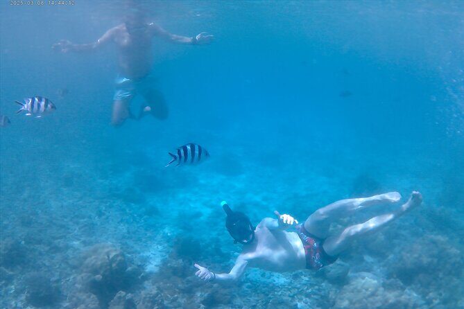 Praslin Curieuse, St Pierre &AnseLafarine fullday trip CreoleBBQ - What Makes This Tour a Good Choice?