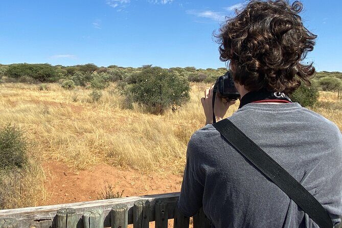 Predator Encounter: Half-Day Carnivore Feeding Windhoek - What Travelers Say About the Experience