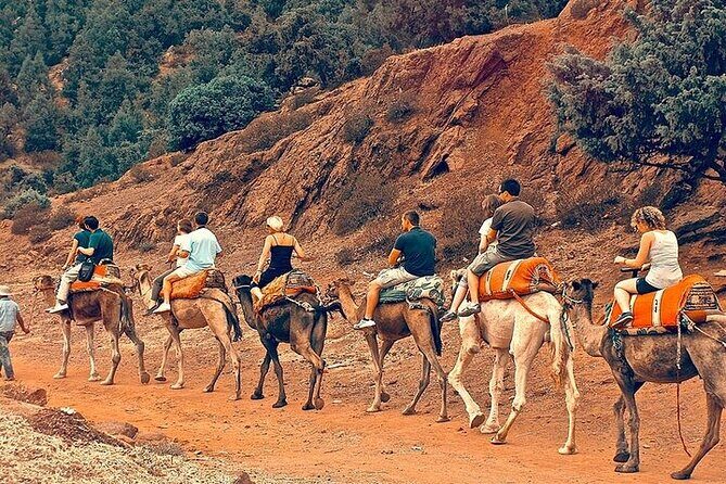 Premium Atlas Mountains & Berber Village Day Trip with Camel Ride - What Travelers Say
