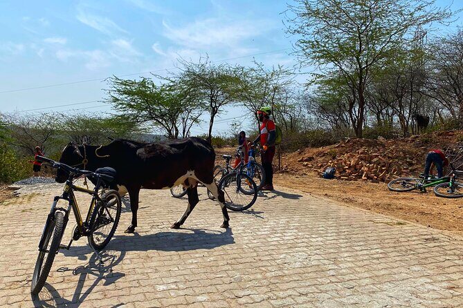Premium Delhi Aravalli Organic Cycle Tour - A glimpse of Real and Rural India - What Makes This Tour Special?