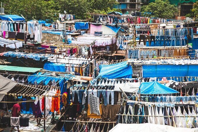 Premium Mumbai Sightseeing Tour - Transportation and Group Size